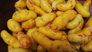 Melloco <br> <p id="valor">2 libras</p>