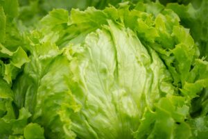 Lechuga repollo <br> <p id="valor">x libra</p>
