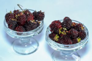 Mora <br> <p id="valor">x libra</p>