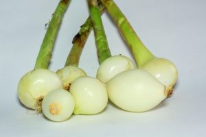 Cebolla perla <br> <p id="valor">1/2 kilo</p>