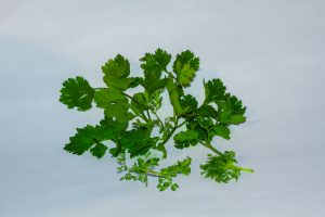 Culantro, apio, perejil Mix <br> <p id="valor">x 1/2 kilo</p>