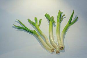 Cebolla larga <br> <p id="valor">x kilo</p>