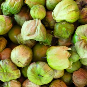 Tomatillo Tarrina <br> <p id="valor"> x 250g</p>